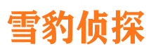 中江侦探